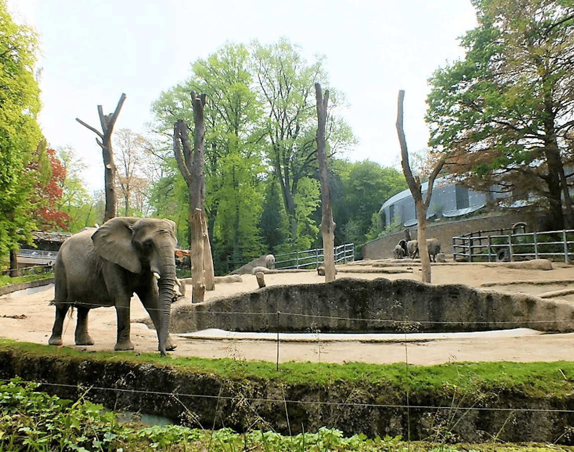 Zoo Düsseldorf