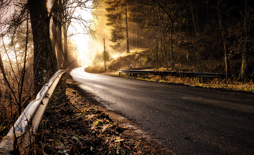 Eine asphaltierte Straße durch den Wald mit Dunst in der Luft und tiefliegender Sonne, die durch die Bäume strahlt