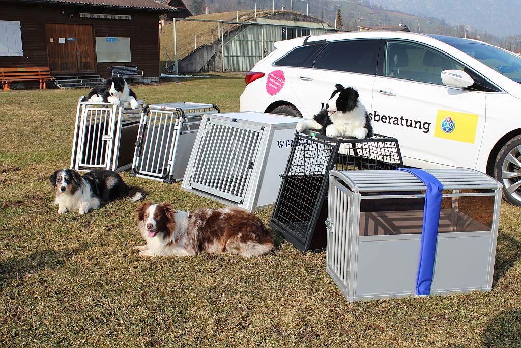 Auto packen mit Hund: Gepäck in die Dachbox!