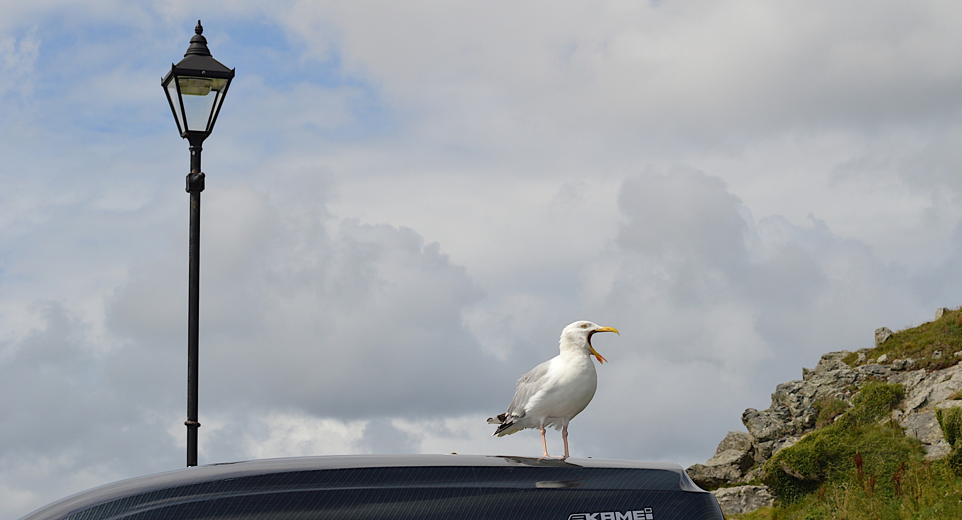Eine Möwe auf einem Dach, Im Hintergrund eine Laterne und ein wolkiger Himmel