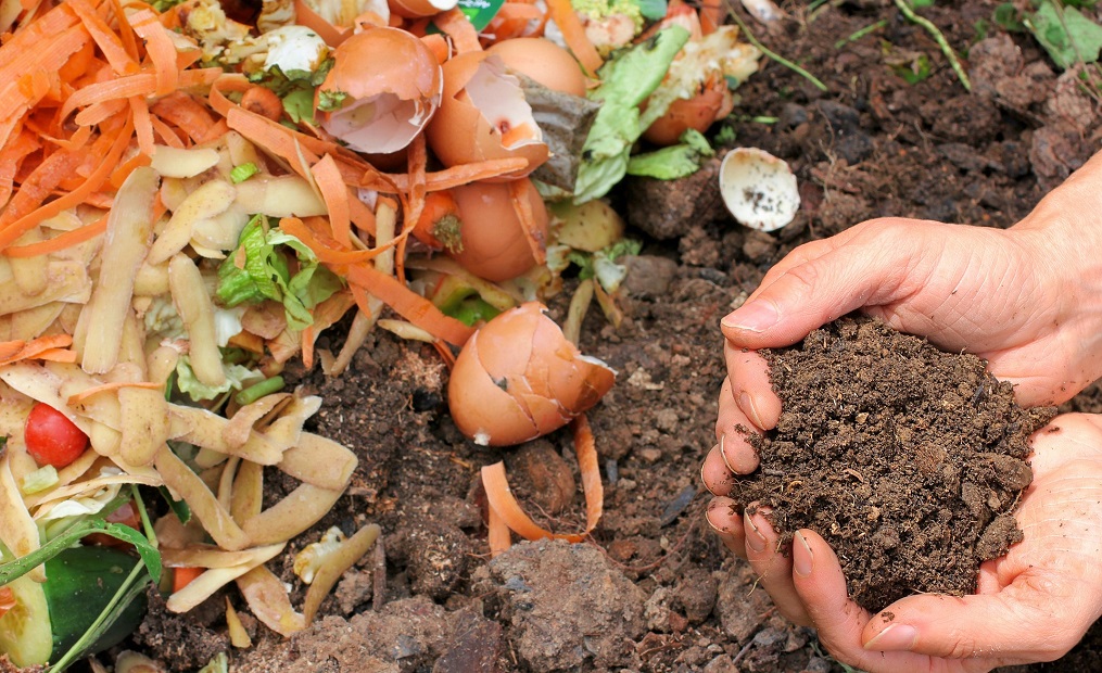 Eine Hand mit Blumenerde sowie Kompostabfälle