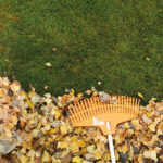 Herbstzeit ist Gartenzeit – so wird der Transport von Laub & Co. zur sauberen Sache