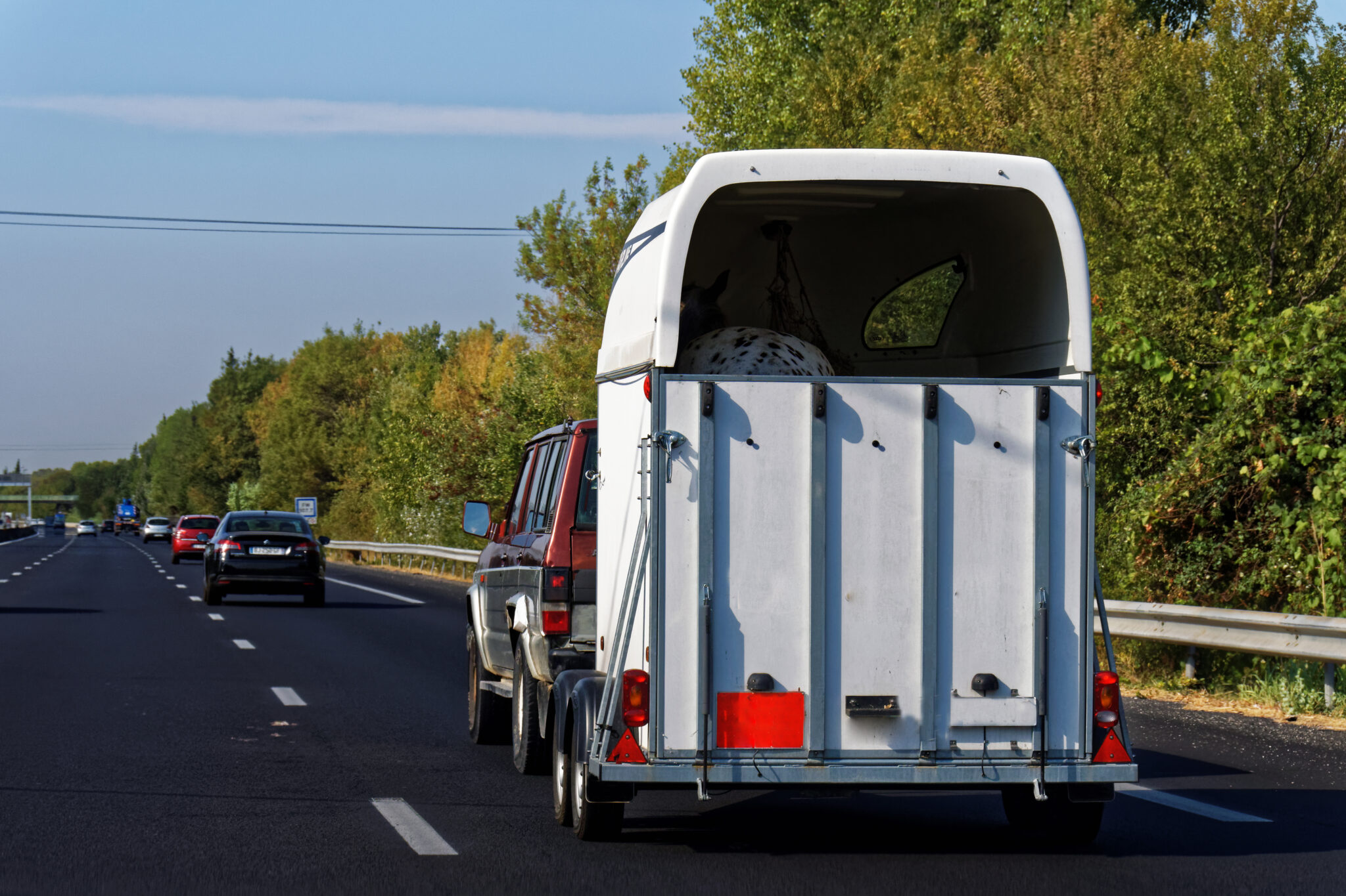Fahrzeug mit Pferdeanhänger und Pferden auf der Autobahn