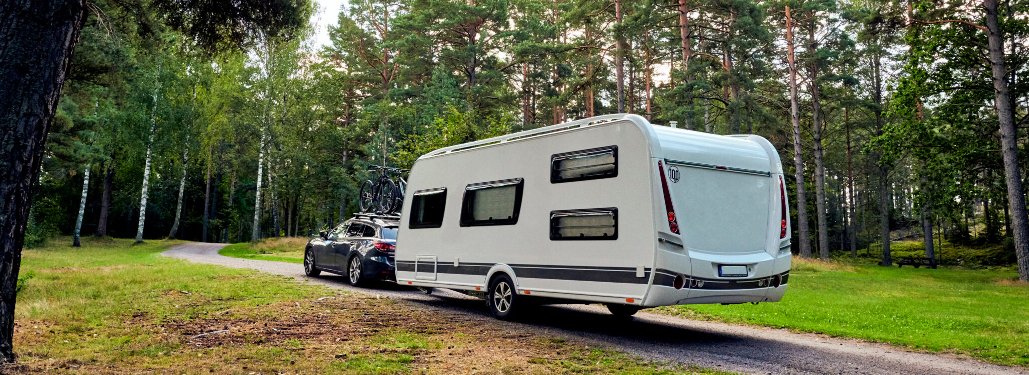 schwarzer Kombi mit Fahrradträger auf dem Dach und weißem Wohnwagen auf einem Waldweg