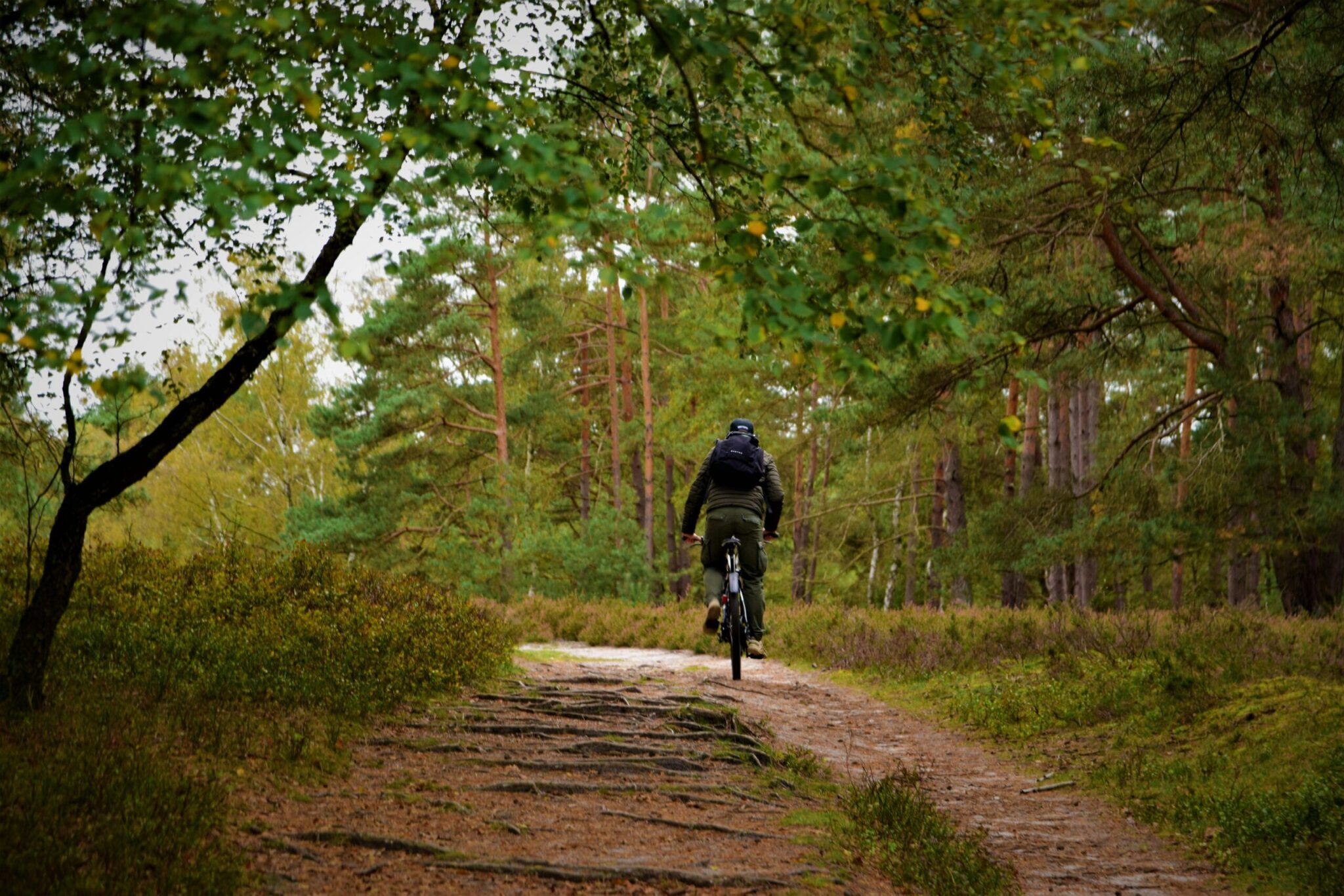 Ausflugsziele Lüneburger Heide: Radfahren