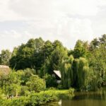 Urlaub im Spreewald: Kahnfahrt, Paddeln & Radtour