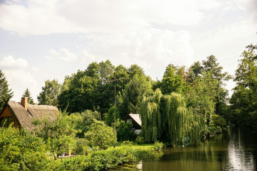 Spreewald