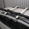 Transporttasche Thule SkiClick 7295 Tasche