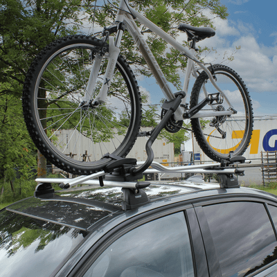 Dachfahrradträger ProRide 598