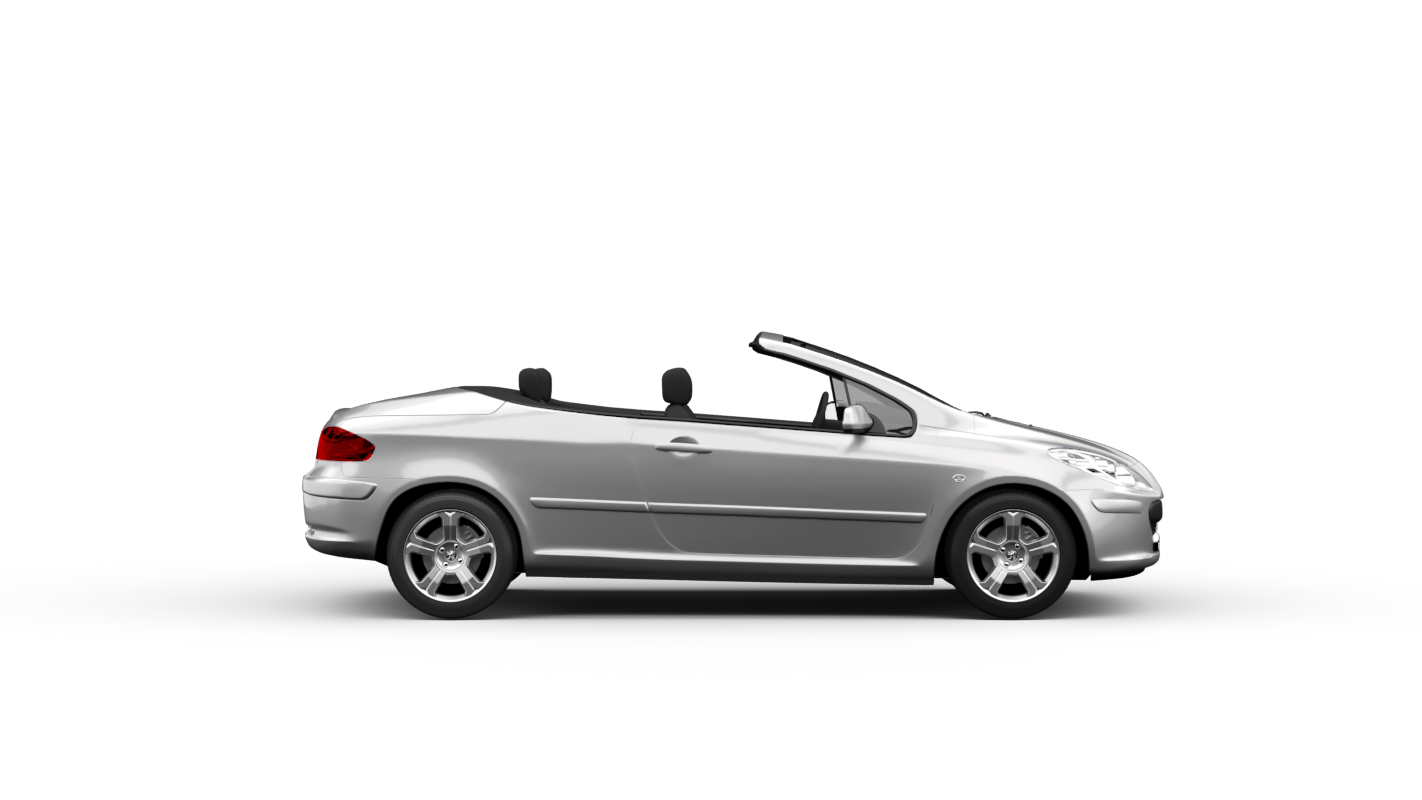 307 CC (3B)